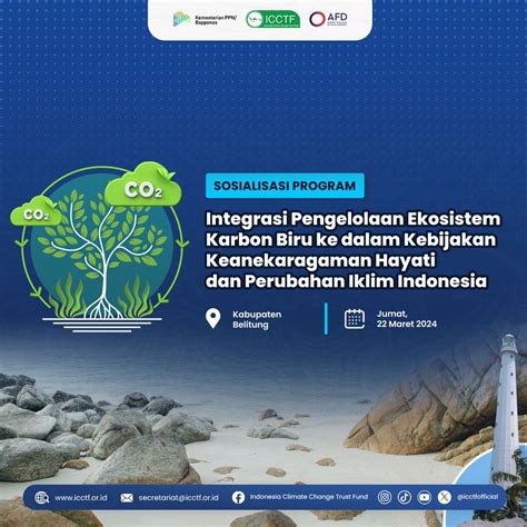 Integrasi Pengelolaan Ekosistem Karbon Biru Ke Dalam Kebijakan Keanekaragaman Hayati Dan