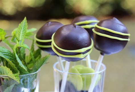 Chocolate Peppermint Cake Pops — Hunny Do Cake Pops