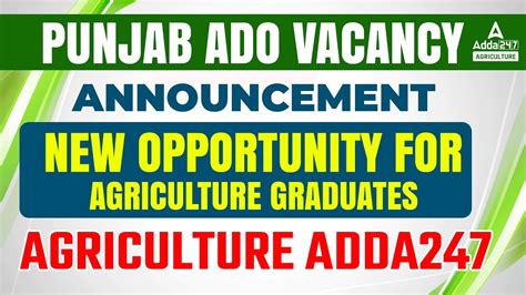 Punjab ADO Vacancy 2022 Announcement New Opportunity For Agriculture