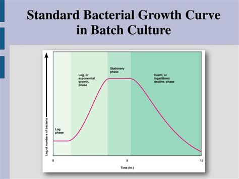 Ppt Serial Dilution And Colony Counting Powerpoint Presentation Id880174