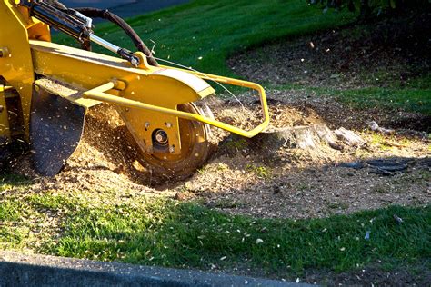 Stump Removal