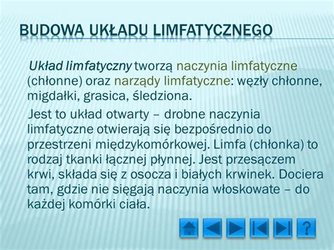 Układ limfatyczny ppt pobierz