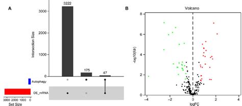 Differential Expression Analysis Of Autophagy Related Genes In