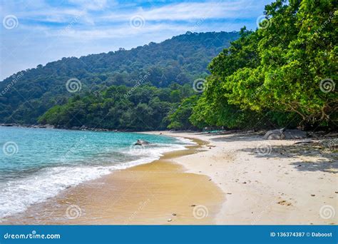 Turtle Beach Perhentian Islands Terengganu Malaysia Stock Image