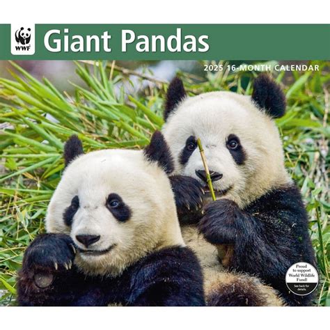 Giant Pandas Wwf 2025 Wall Calendar