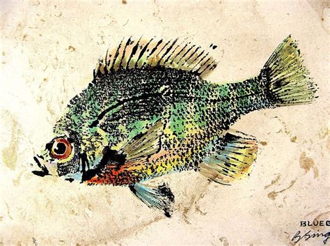 Amazon Bluegill 1 Sunfish GYOTAKU Fish Art Print 8 5 X 11 Inch