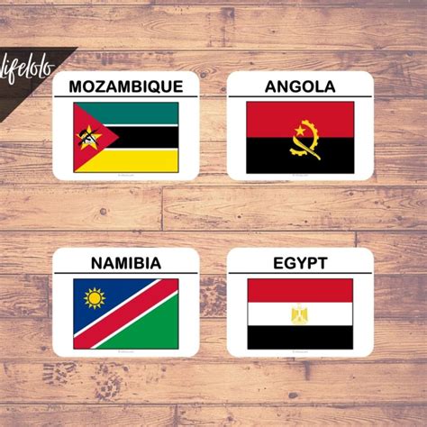 Africa FLAGS Flash Cards Montessori Three Part Cards Homeschool