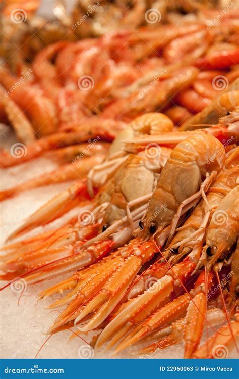 Fresh Small Lobsters Stock Photos - Image: 22960063