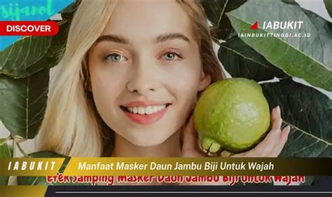 Ketahui Manfaat Masker Daun Jambu Biji Untuk Wajah Yang Jarang Diketahui