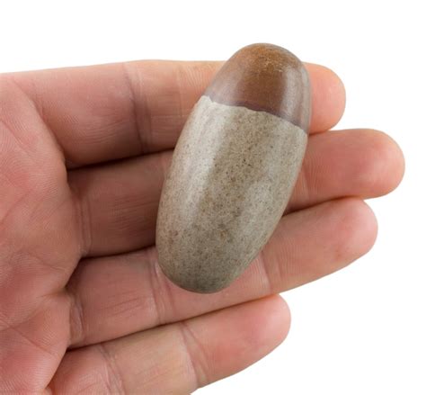 Shiva Lingam Galet Naturel Poli Oeuf Cosmique