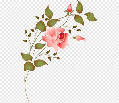 Flower Design Png Vector | Best Flower Site