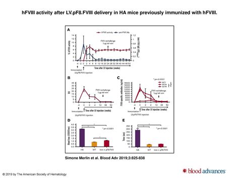 FVIII Expression By Its Native Promoter Sustains Long Term Correction