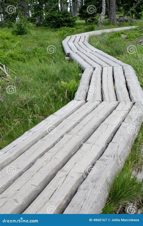 Wooden Road Stock Image Image Of Plank Wood Roadway 4860167