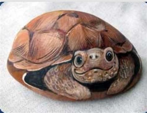 Box Turtle Rock Painting Patterns Rock Painting Designs Rock Painting