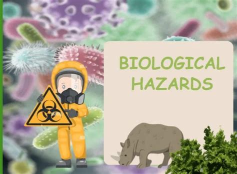 Biological Hazards Examples and Preventions -NexZen