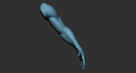 Human Muscular Arm 2019 3d Model Turbosquid 1440054