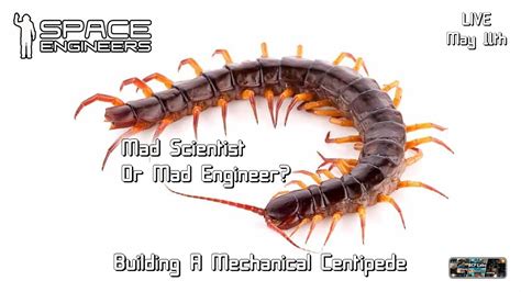 Mad Scientist Or Mad Engineer Building A Mechanical Centipede Space