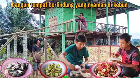 Menambah Tempat Berlindung Yang Nyaman Di Kebun Cooking Mukbang Hasil