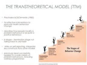 THE TRANSTHEORETICAL MODEL (TTM) • Prochaska & DiClemente (1983) • for ... 