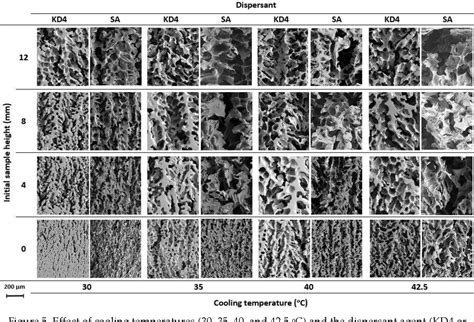 Figure From Effect Of Processing Parameters On The Properties Of