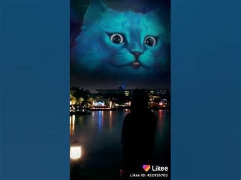 Котенок лайк - YouTube