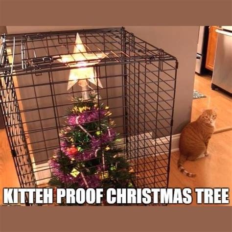 20 Most Hilarious Cat Christmas Tree Memes Of All Time 2023