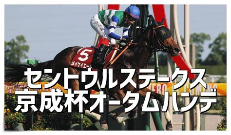 セントウルステークス2023予想：ラップ適性と全頭分析から導く本命馬＆異常投票パトロール｜競馬ブログ K Ba Life