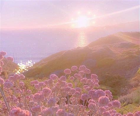 Pink Aesthetic Pink Flowers Mountains Aesthetic Nature Aesthetic