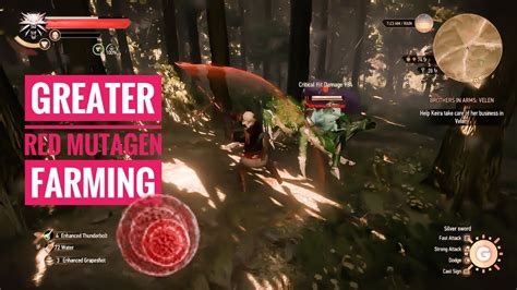 The Witcher Greater Red Mutagen Farming Guide Verified