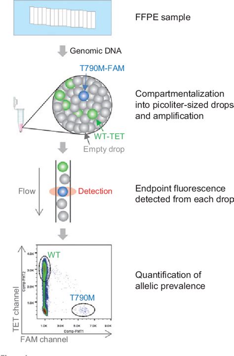 Pdf Ultra Sensitive Detection Of The Pretreatment Egfr T M Mutation