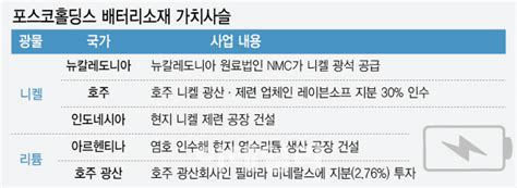 포스코홀딩스 니켈·리튬 공급망 확보 속도가치사슬 구축