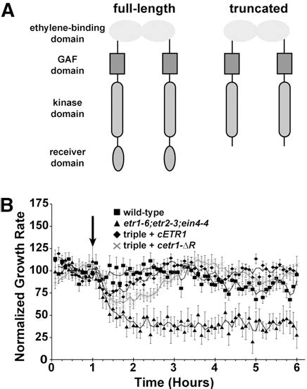 Figure 1 From Identi Fi Cation Of Regions In The Receiver Domain Of The