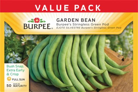 Burpee Stringless Green Pod Bean Seeds 1 Count Harris Teeter