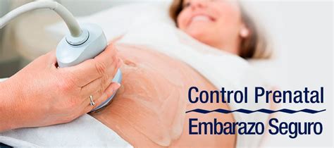 Seminario En Sistemas Control Prenatal