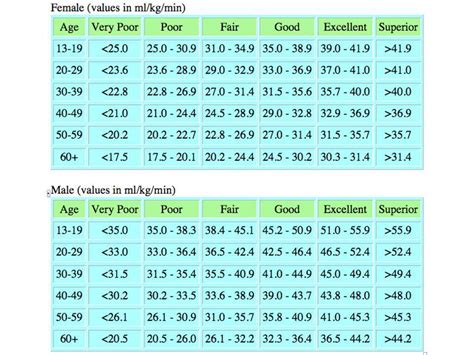 Guía Completa Sobre El Vo2max Qué Es Y Por Qué Es Importante