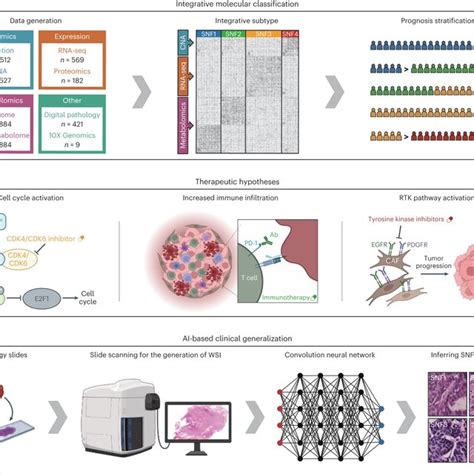 Schematic Overview Of The Study A Multi Omics Cohort Of HR HER2