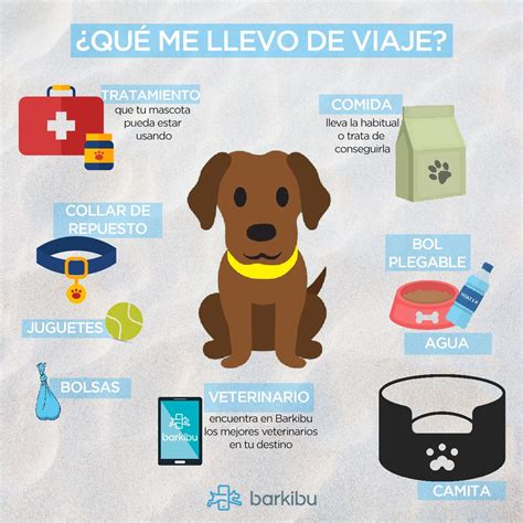 Consejos Para Viajar Con Mascotas Interviajeros