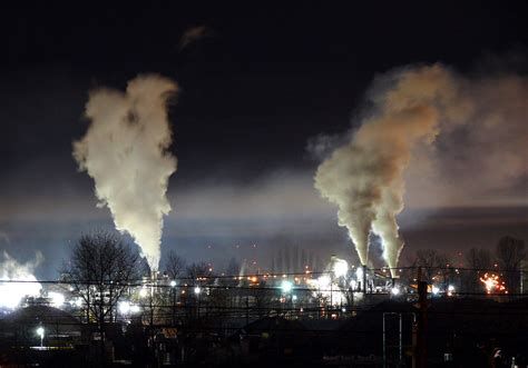 Des Algues Pour Contrer La Pollution