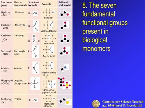 Ppt 1 Four Classes Of Macromolecules Powerpoint Presentation Free