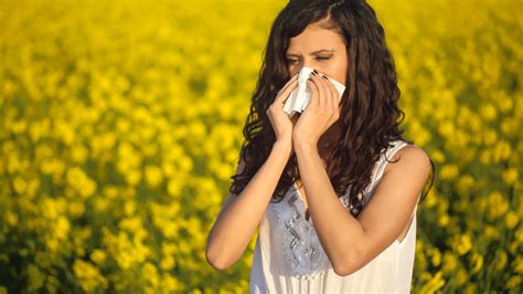 The Real Reason Seasonal Allergies Are Getting Worse O Nose Filters