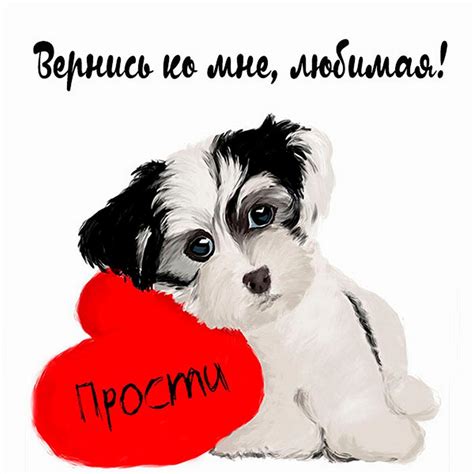 Картинки прости меня любимая