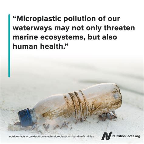 Microplastics In The Ocean Can Be Ingested By Fish And Other Aquatic