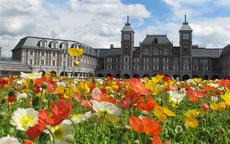 園内の花 道の駅 神戸フルーツ・フラワーパーク大沢