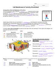 Copy Of Membrane Transport And Tonicity Pdf Name Date Period