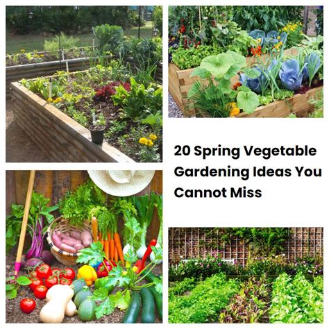 20 Spring Vegetable Gardening Ideas You Cannot Miss Sharonsable