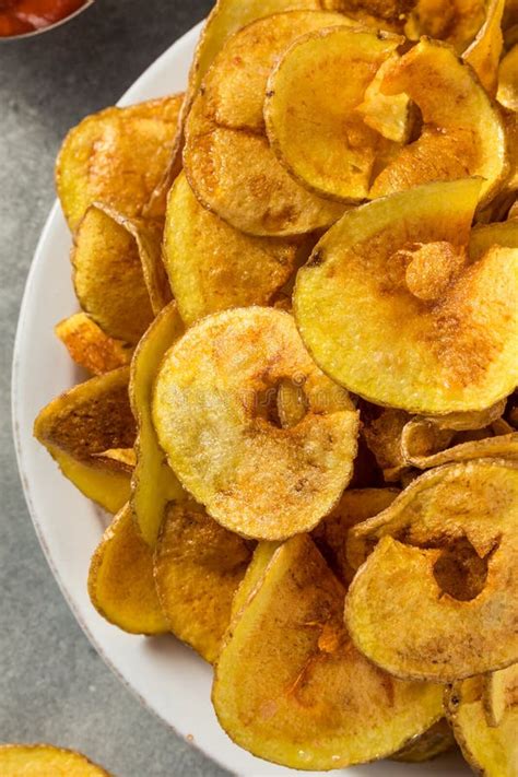 Homemade Spiral Cut Potato Chips Stock Image - Image of spiral, salted ...