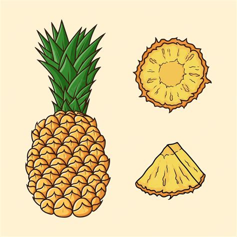 Premium Vector Set Different Angles Of Pineapple Fruit Cartoon Vector Isolated