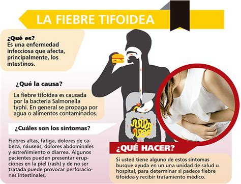 Síntomas Y Causas De La Fiebre Tifoidea