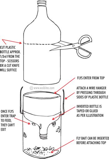 Diy Fly Trap Solution Audrie Queen