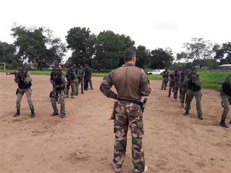 EFS les Forces armées de Côte dIvoire formées aux techniques commando